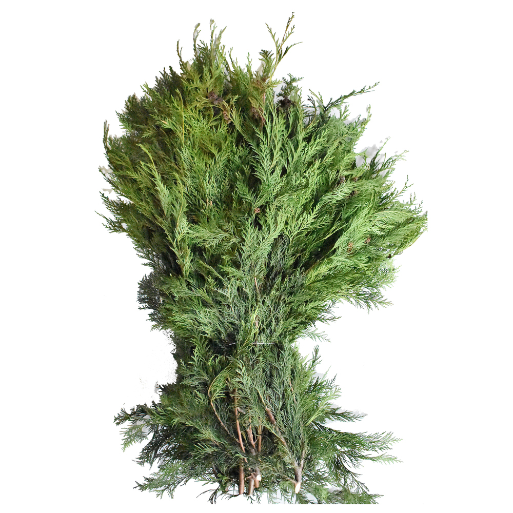 Koniferen grün 3 kg