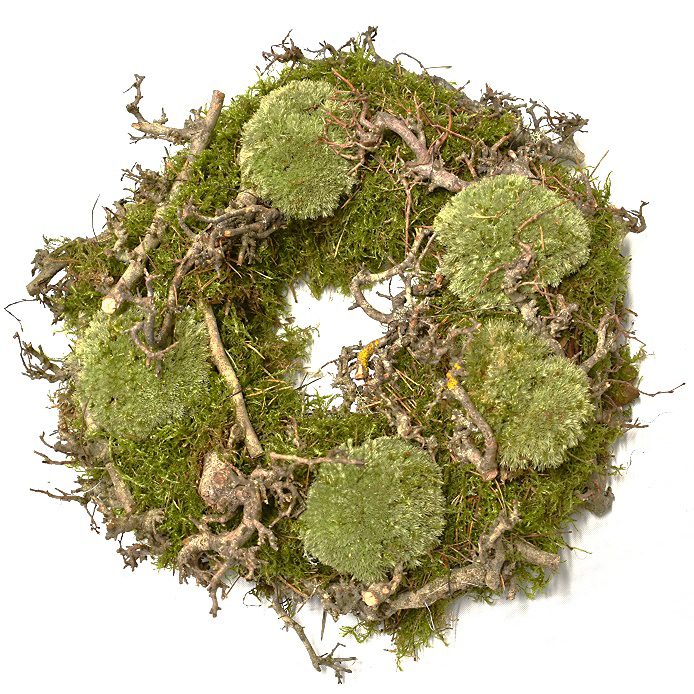 Dekokranz moos mix-bonsai