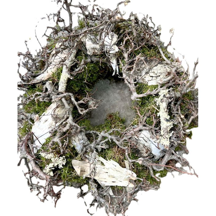 Dekokranz moos-bonsai-birke