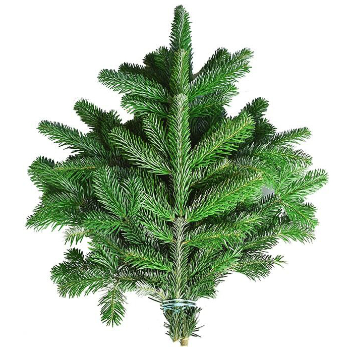 Abies nordmanniana grün 500 g