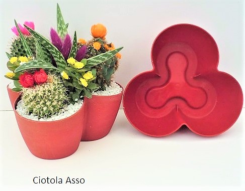 Cactacee fleurs artif. coupe asso