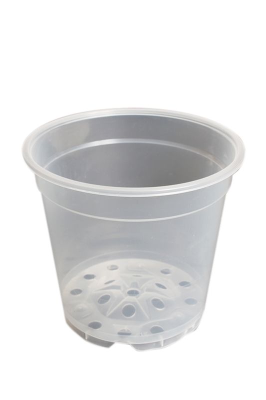 Pot