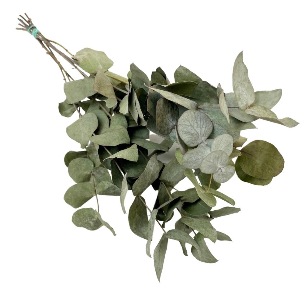 fleurs sechées