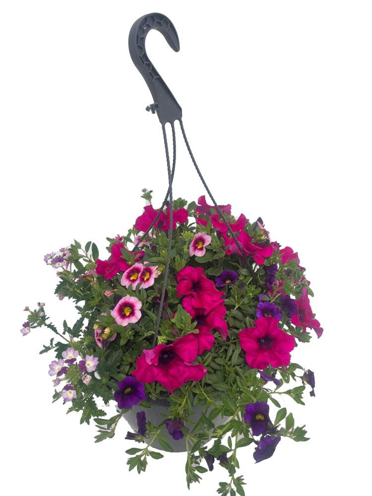hanging baskets
