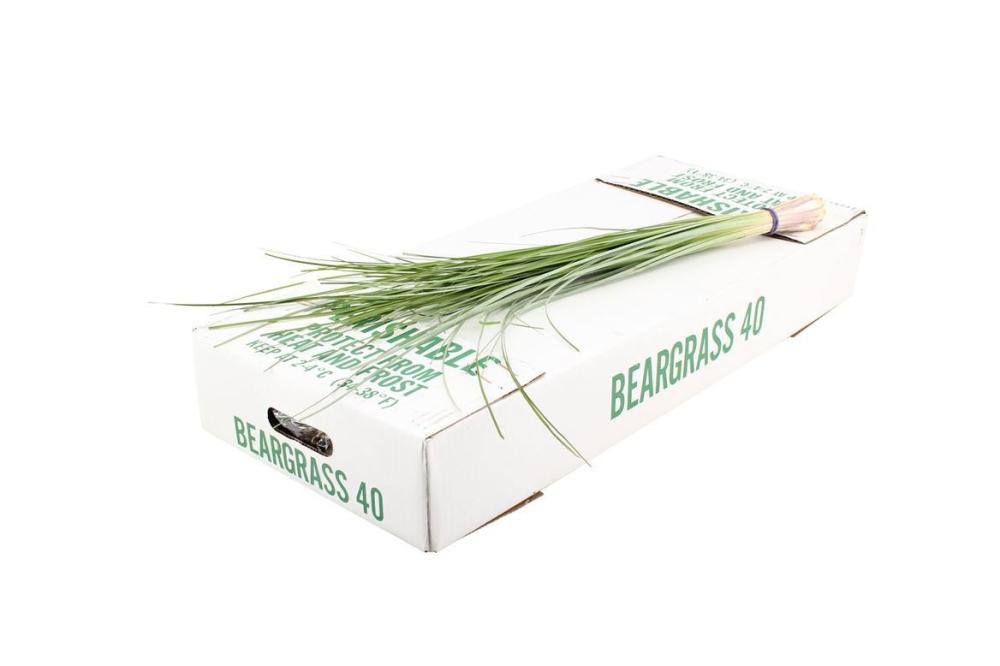 Beargrass