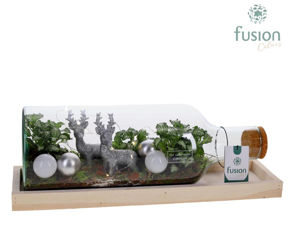 Compo-arrangements Noël