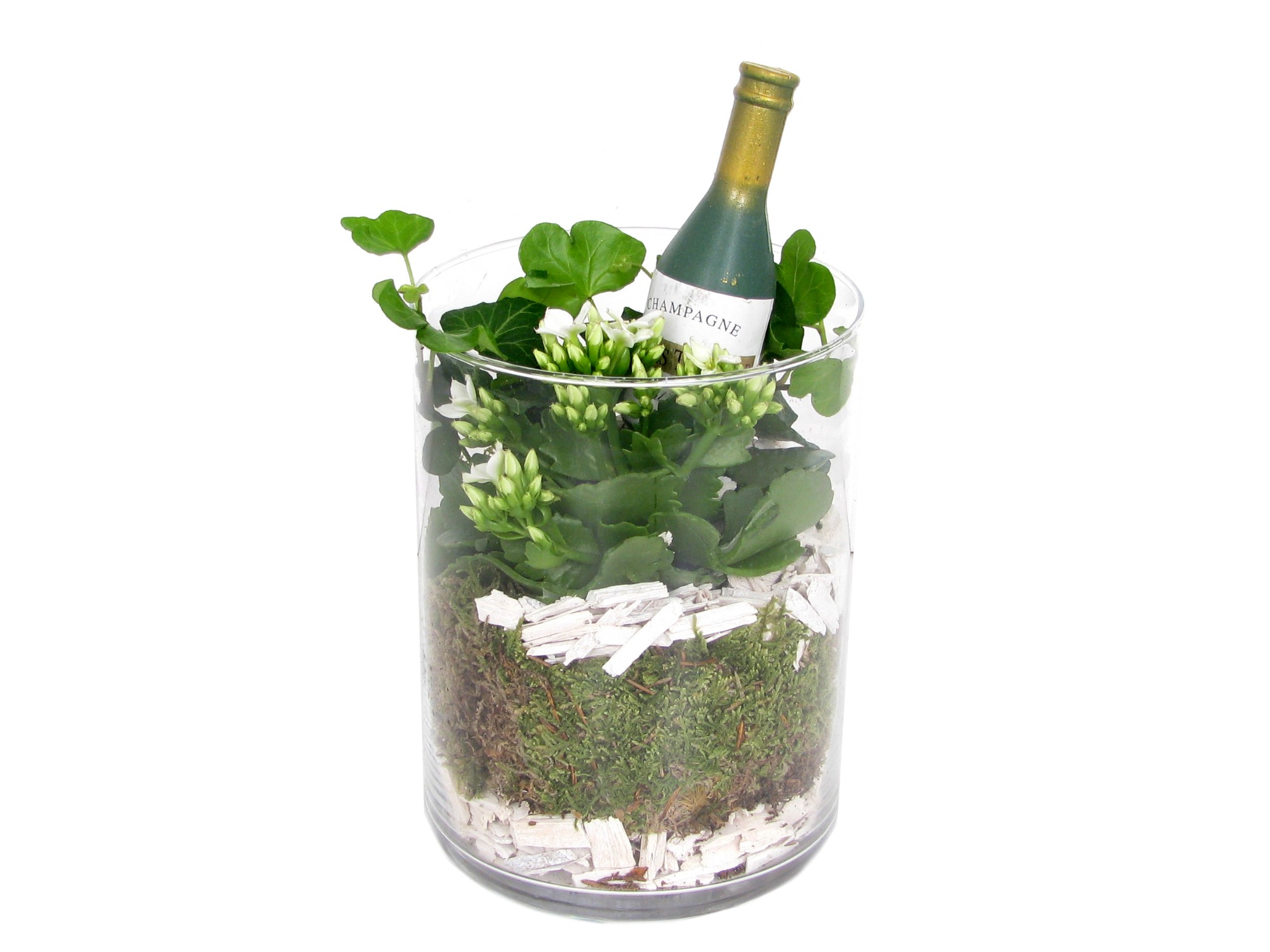 Plantes