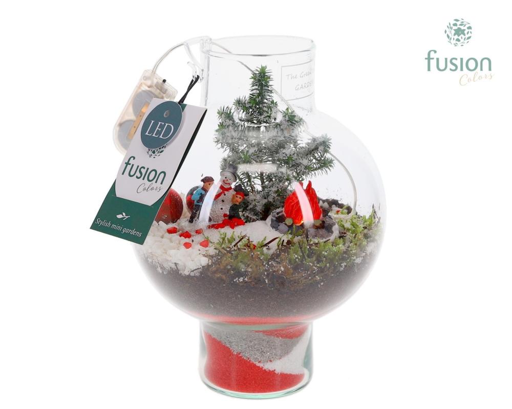 Compo-arrangements Noël