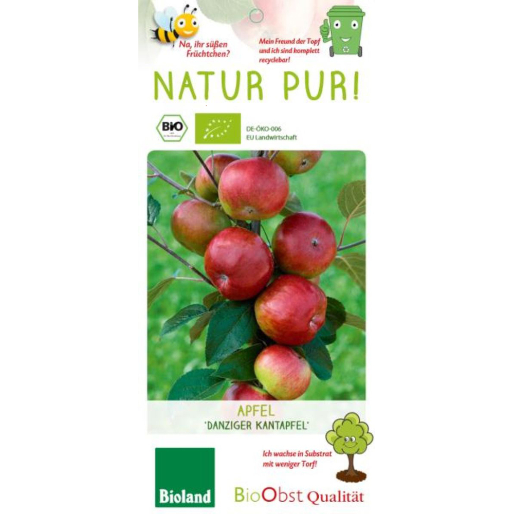 malus