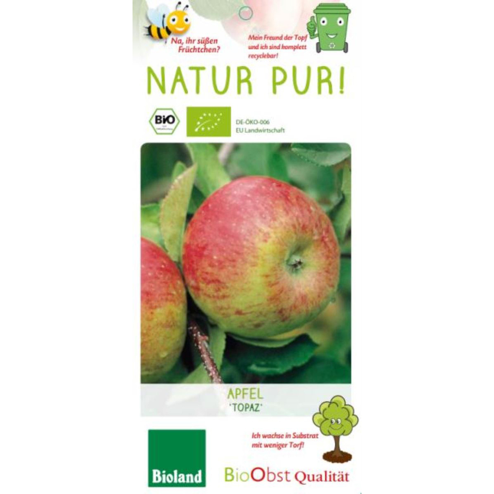 Malus
