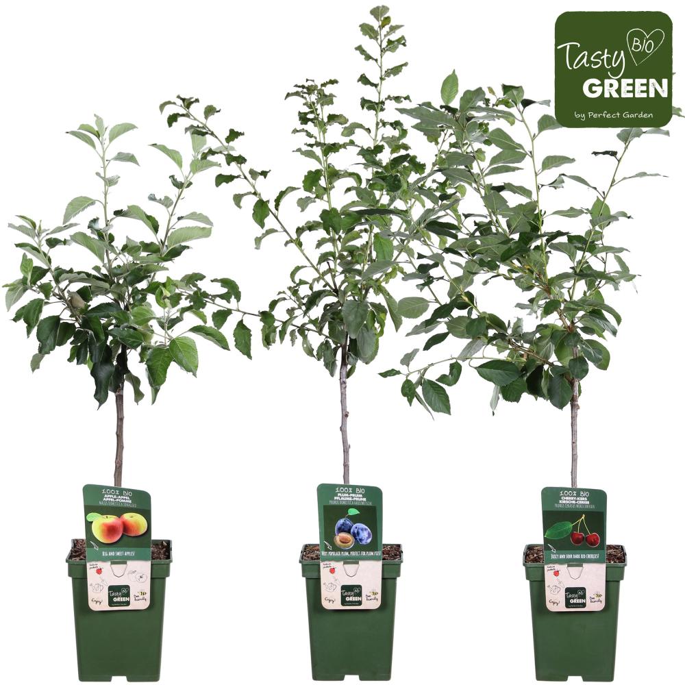 arbres/arbustes fruitiers