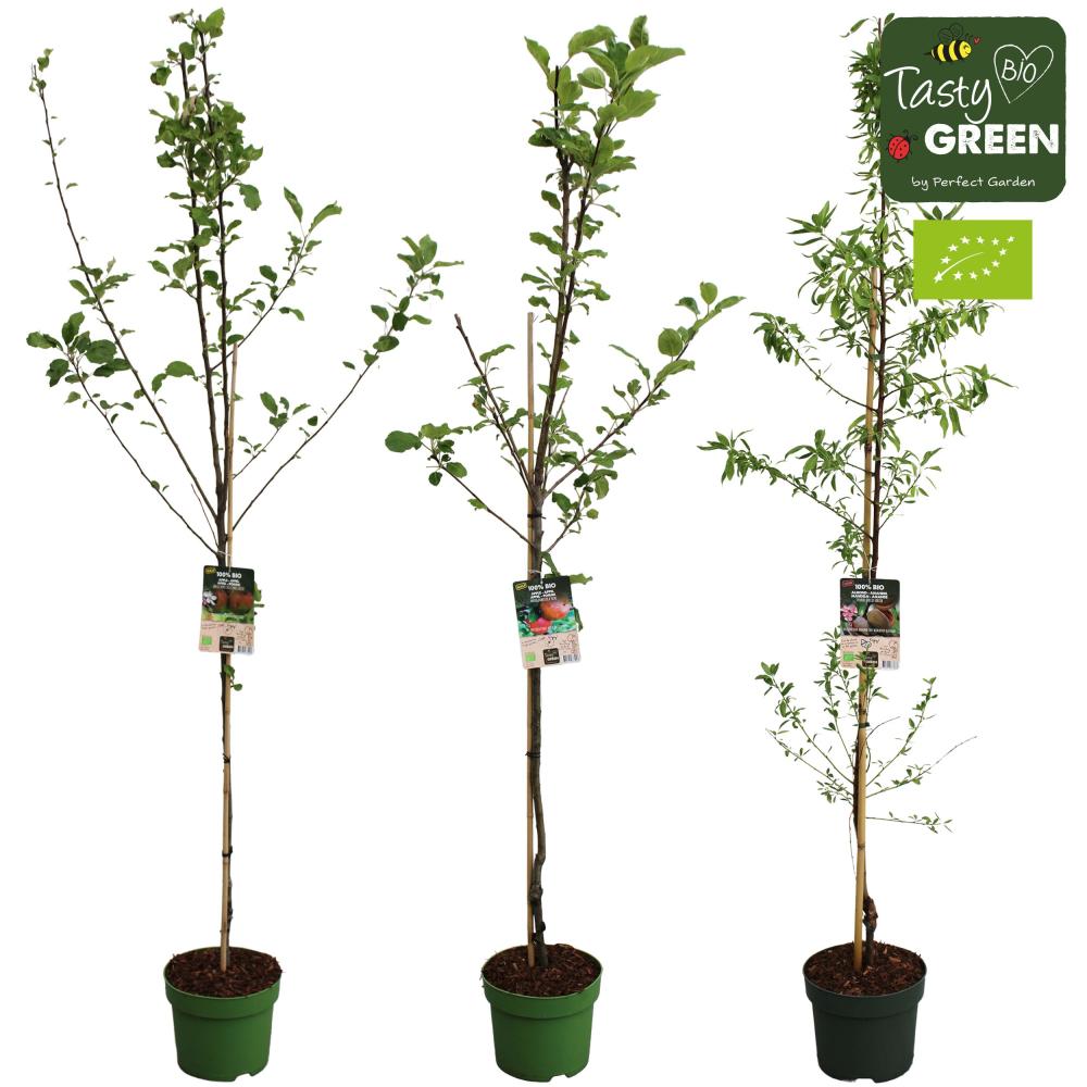 arbres/arbustes fruitiers
