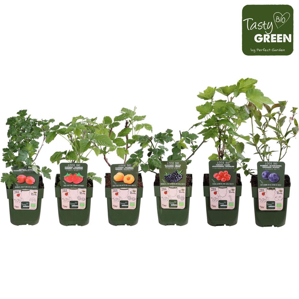 arbres/arbustes fruitiers