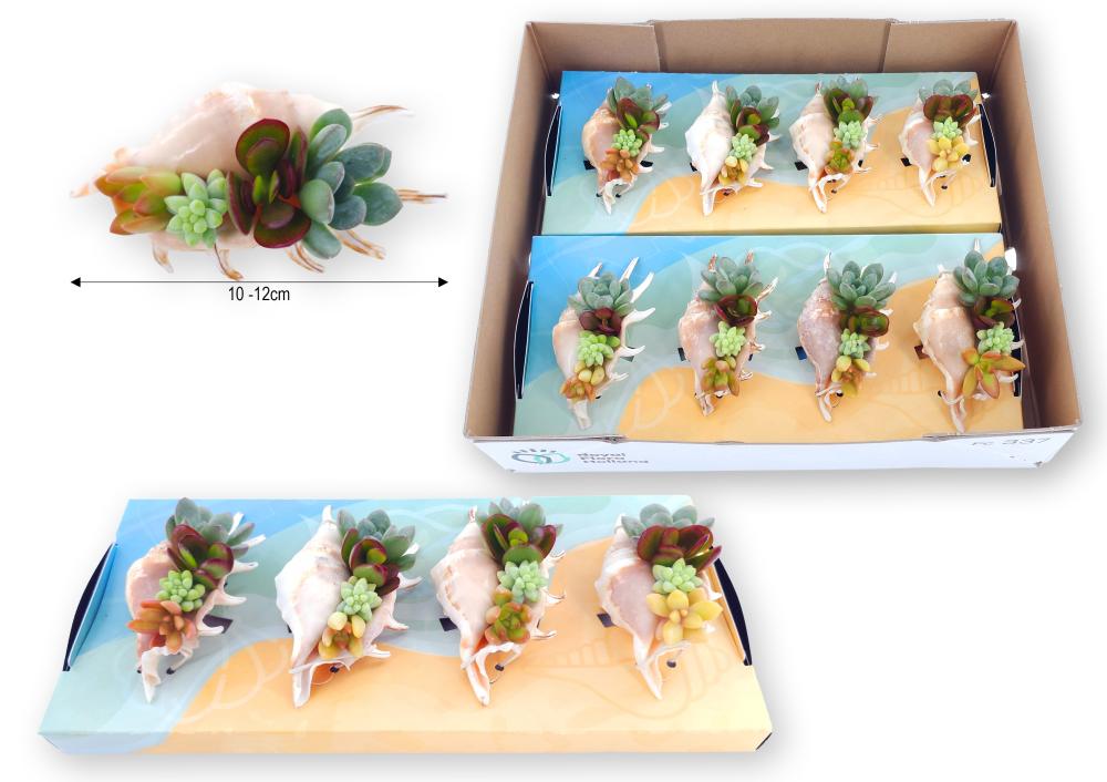 compo-arrangements