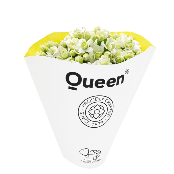 kalanchoe fleurs doubles