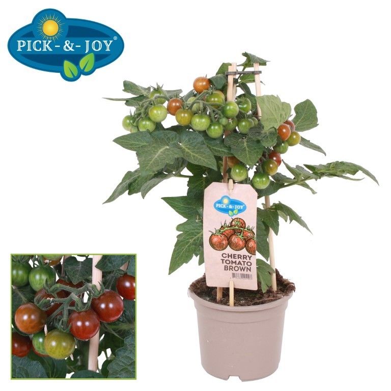 légumes