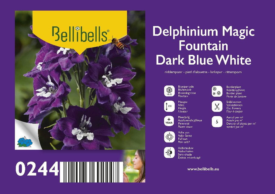 Delphinium
