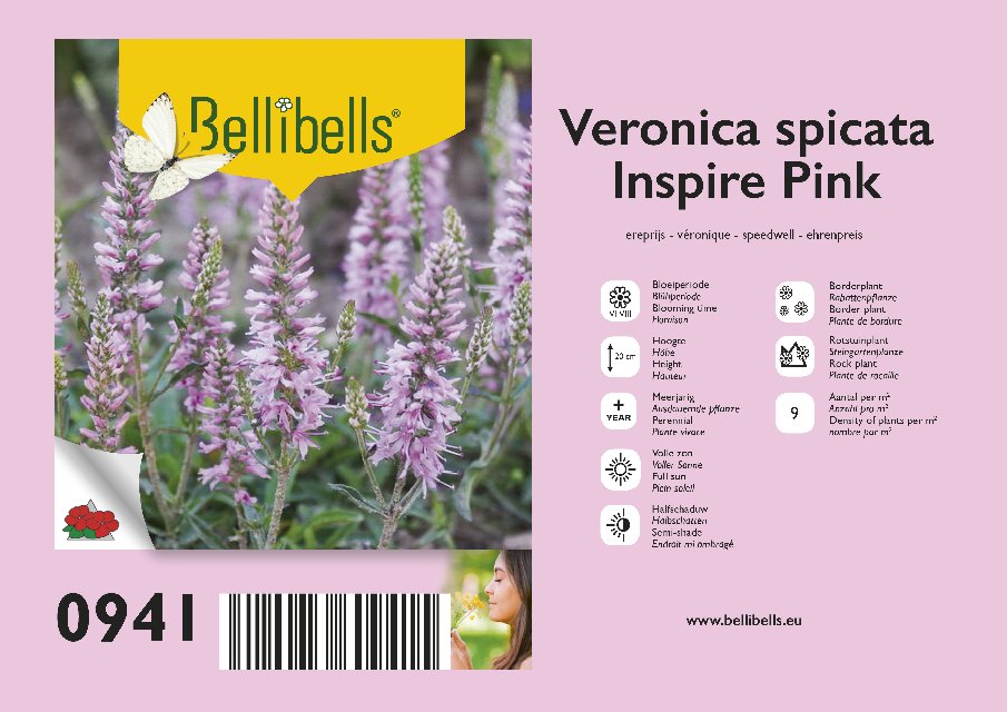 Veronica