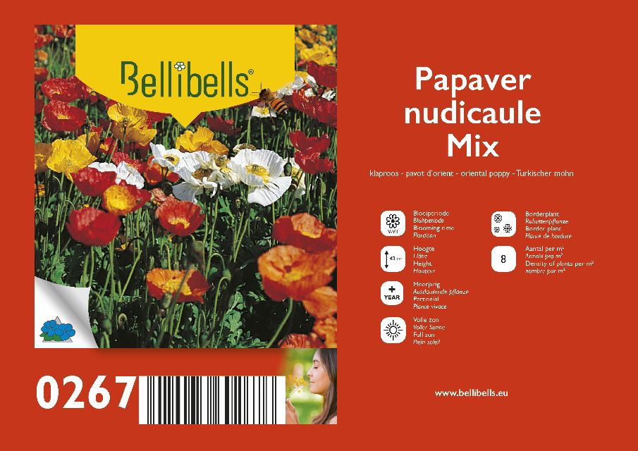 Papaver - pavot
